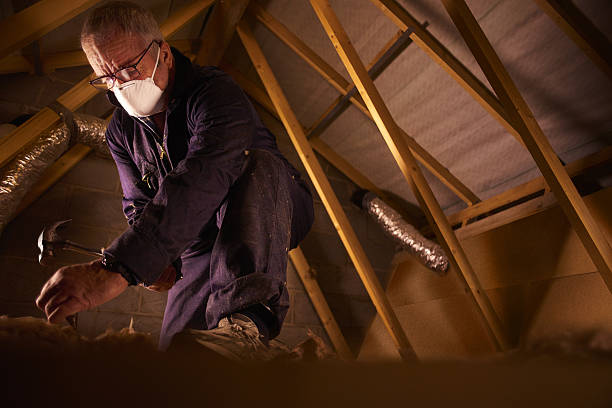Best Cellulose Insulation in Bayfield, CO